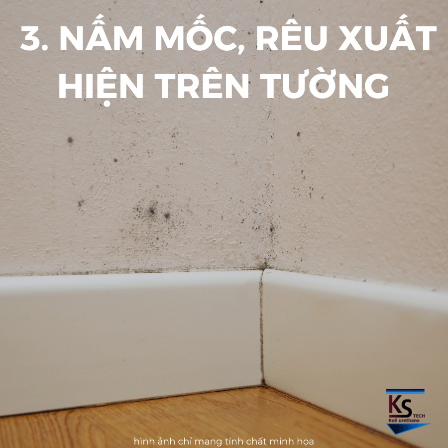 Dấu hiệu tường nhà vệ sinh đang bị thấm nước